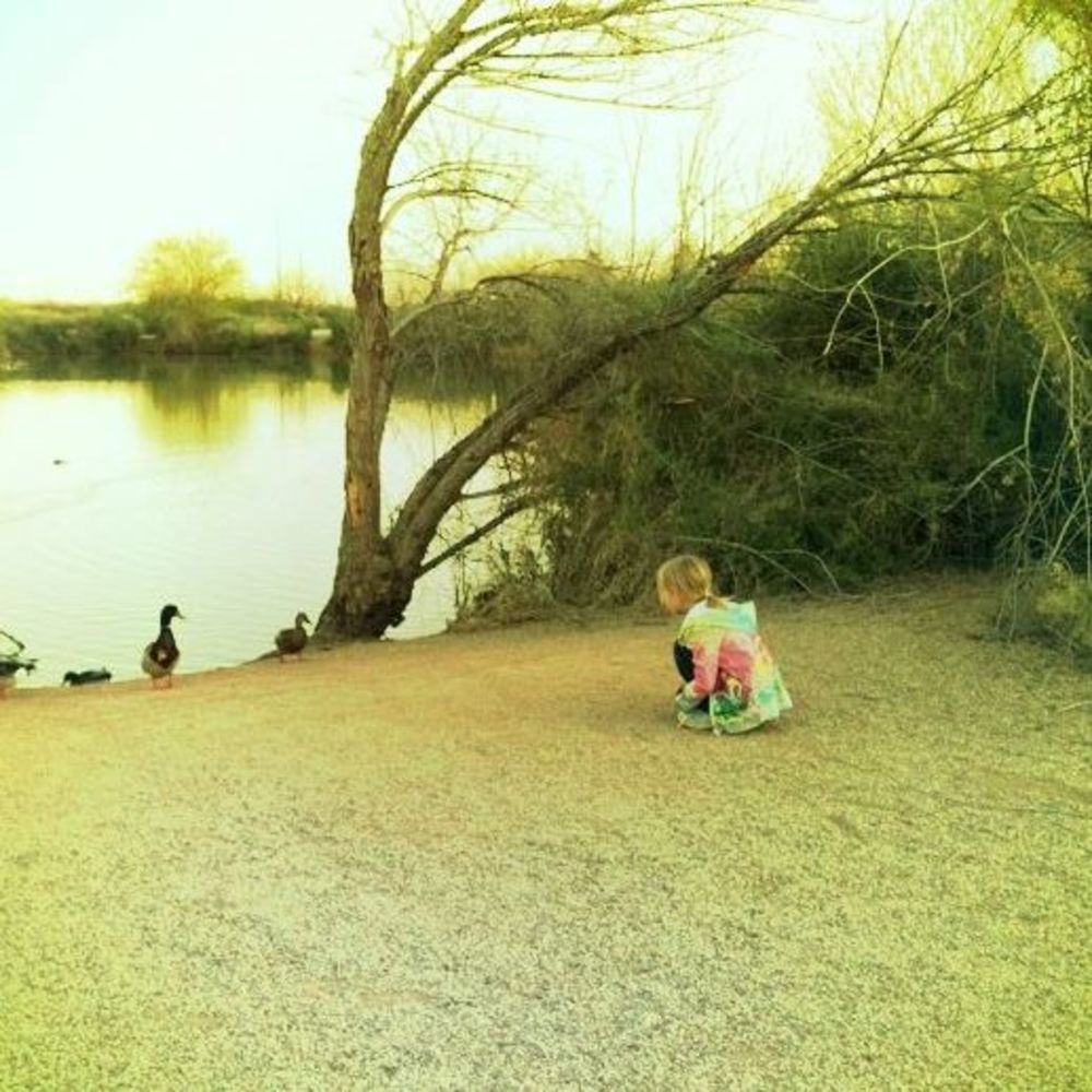 Meet your Posher, Berdina